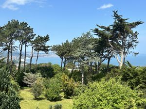 Photo 30- click for photo gallery